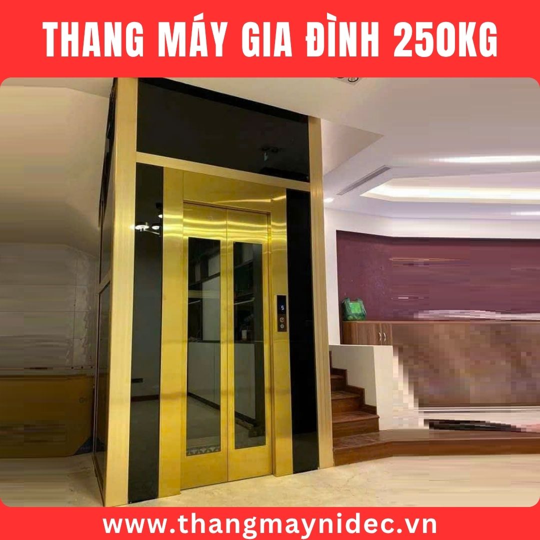 Thang máy 250kg kiểu cửa lùa